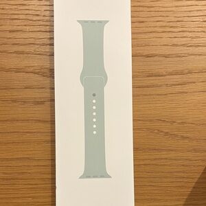 Apple Watch band- aquamarine